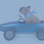 Eine von VW importierte französische Bulldogge in einem blauen Spielzeugauto.